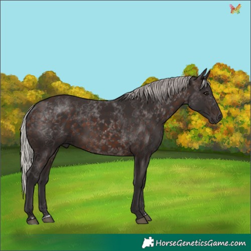 Horse Color:Silver Brown 