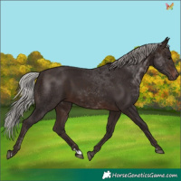 Horse Color:Silver Brown 