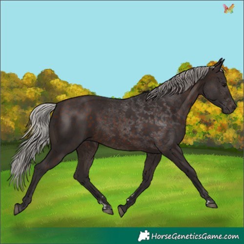 Horse Color:Silver Brown 