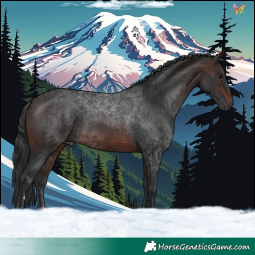 Horse Color:Brown 