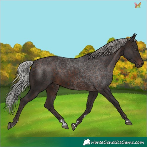 Horse Color:Silver Brown 