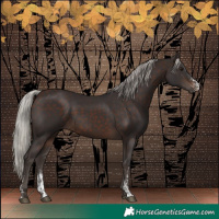 Horse Color:Silver Brown Sabino