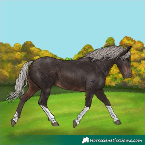 Horse Color:White Spotted Silver Brown Tobiano 