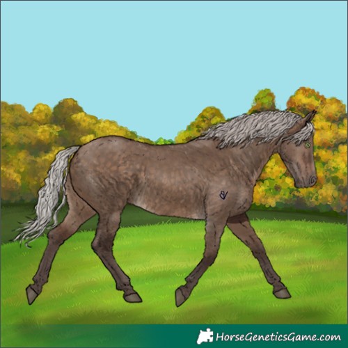 Horse Color:White Spotted Silver Brown Dun 