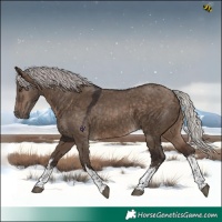 Horse Color:White Spotted Silver Brown Dun 
