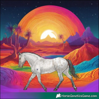Horse Color:Bay Roan Dun Appaloosa 