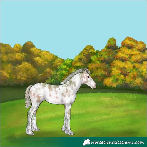 Horse Color:Watercolor White Spotted Silver Brown Ice Dun 