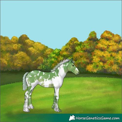 Horse Color:Watercolor White Spotted Silver Black 
