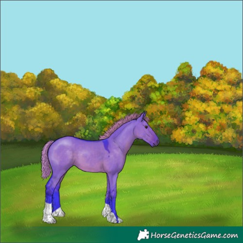 Horse Color:Watercolor Liver Red Dun 