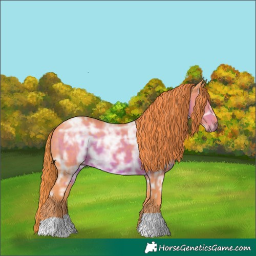 Horse Color:Watercolor Liver Chestnut Ice 