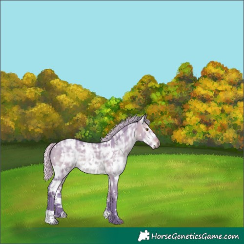 Horse Color:Watercolor White Spotted Silver Brown Ice Dun Mushroom 
