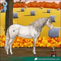 Horse Color:Chocolate Palomino Roan Pearl Splash 