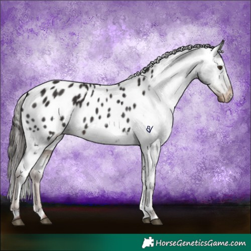 Horse Color:Liver Chestnut Blanket 