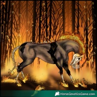 Horse Color:Void Bay Dun Tobiano 