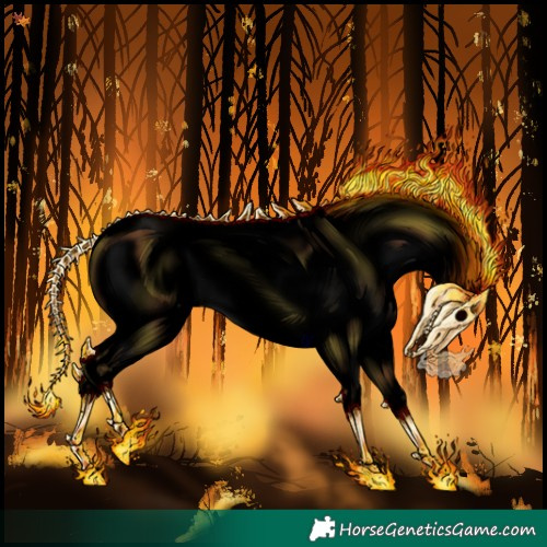 Horse Color:Void White Spotted Bay Dun Snowcap 