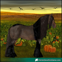 Horse Color:Void Bay Dun Tobiano Varnish 