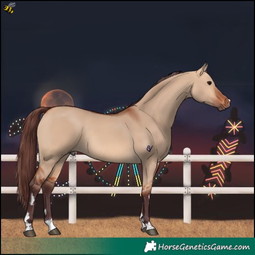 Horse Color:Chocolate Bay Dun 