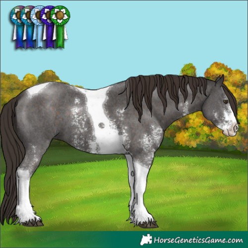 Horse Color:Liver Chestnut Sabino Tobiano 