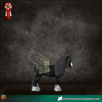 Horse Color:Midnight Black 
