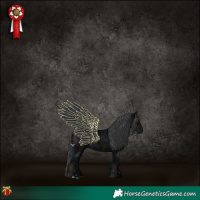 Horse Color:Midnight Black 