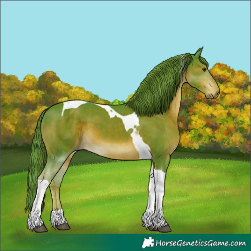 Horse Color:Watercolor Liver Chestnut Sabino Tobiano 