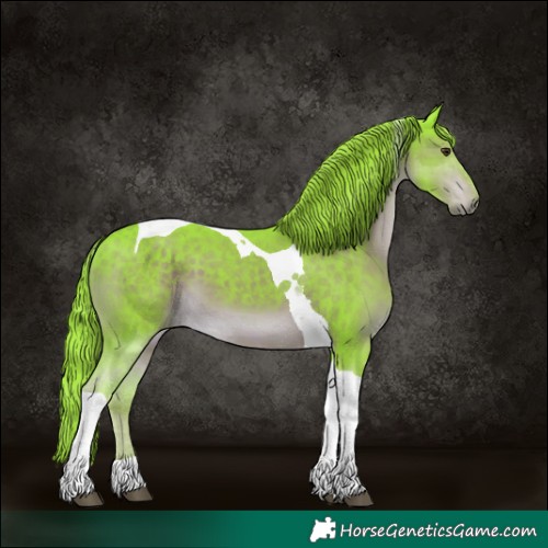 Horse Color:Watercolor Liver Chestnut Sabino Tobiano 
