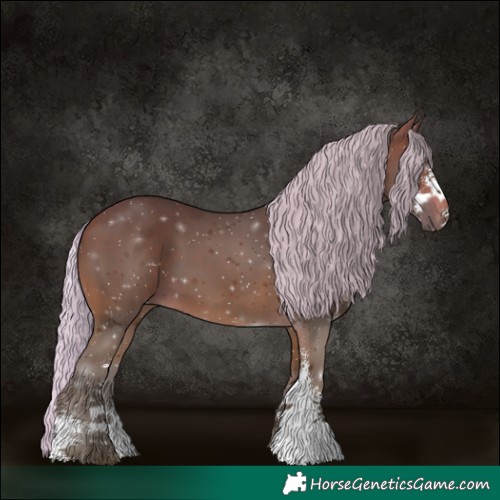 Horse Color:Silver Brown Sabino 