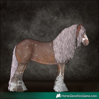 Horse Color:Silver Brown Sabino