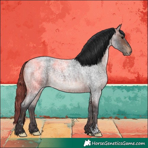 Horse Color:Brown Roan 
