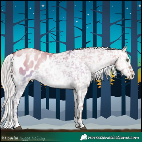 Horse Color:Silver Grullo Pearl Onyx Appaloosa 