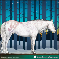 Horse Color:Silver Grullo Pearl Onyx Appaloosa 