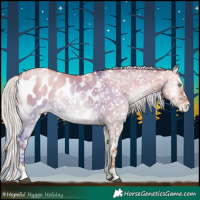 Horse Color:Silver Grullo Pearl Onyx Appaloosa 