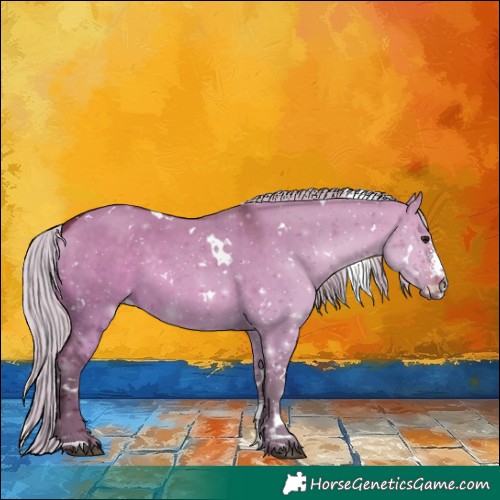 Horse Color:White Spotted Silver Bay Dun Sabino Rabicano 