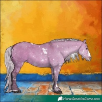 Horse Color:White Spotted Silver Bay Dun Sabino Rabicano 