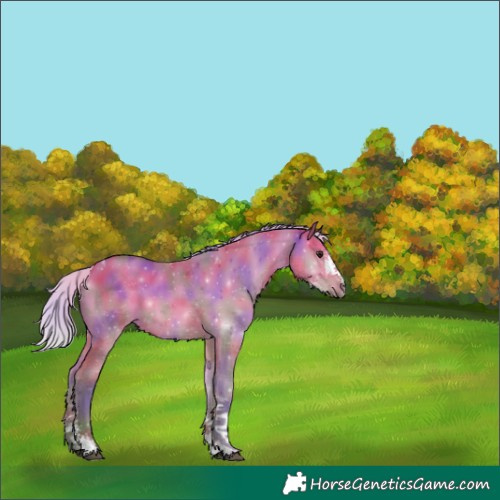 Horse Color:Nacre Silver Brown Dun Sabino Tobiano Rabicano 