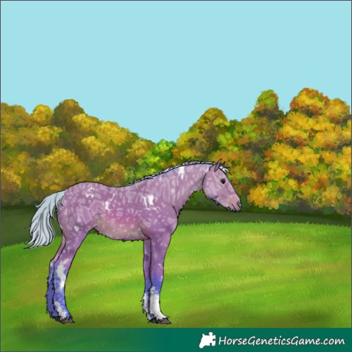 Horse Color:Watercolor White Spotted Silver Bay Ice Sabino 