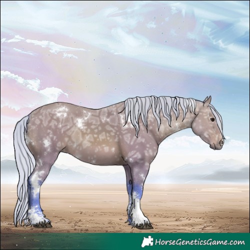 Horse Color:Watercolor White Spotted Silver Bay Ice Sabino 
