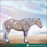 Horse Color:Watercolor White Spotted Silver Bay Ice Sabino