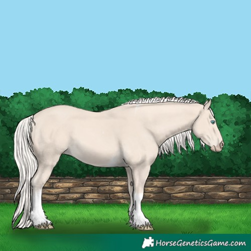 Horse Color:Cremello Tobiano 