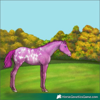 Horse Color:Classic Champagne Pearl Blanket 