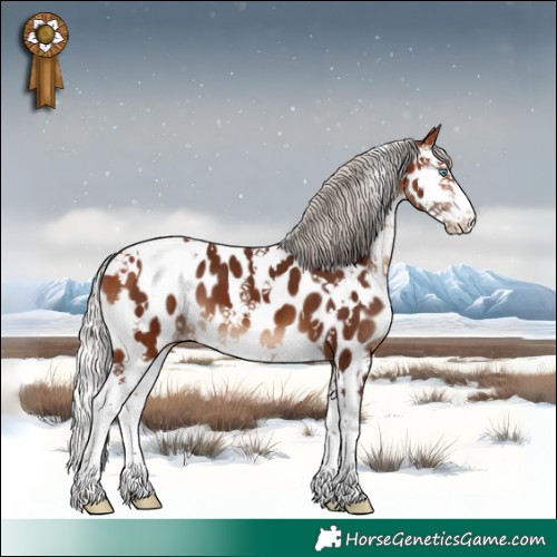 Horse Color:White Spotted Silver Bay Splash Near Leopard 