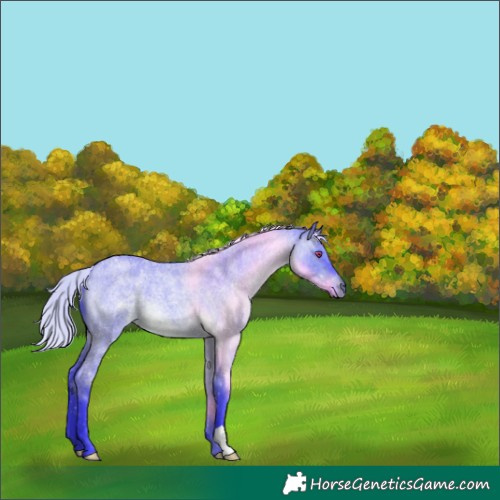 Horse Color:Watercolor Silver Brown Chinchilla Roan Dun 