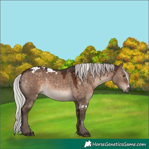Horse Color:White Spotted Silver Brown Dun Mushroom 