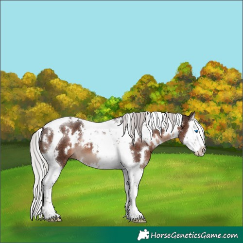 Horse Color:White Spotted Silver Brown Mushroom Splash Tobiano 
