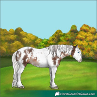 Horse Color:White Spotted Silver Brown Mushroom Splash Tobiano