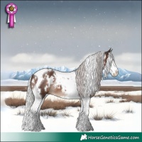 Horse Color:White Spotted Silver Brown Mushroom Splash Tobiano