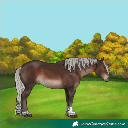 Horse Color:Silver Brown Mushroom Tobiano 