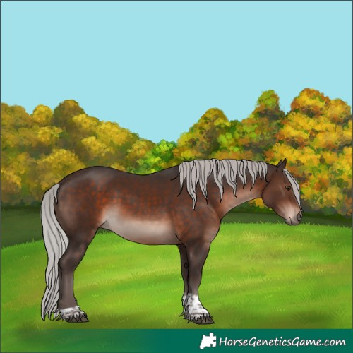 Horse Color:Silver Brown Mushroom Tobiano 