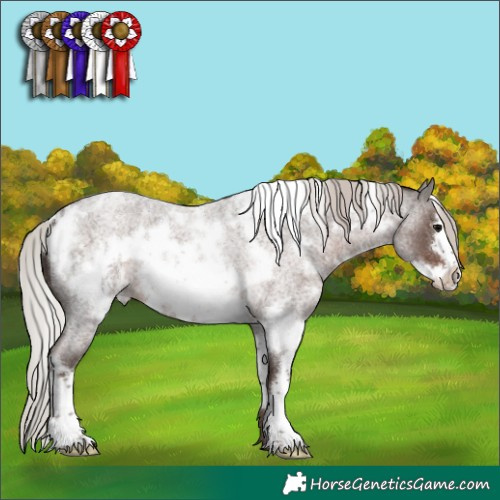Horse Color:White Spotted Silver Blue Roan Frame 