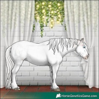 Horse Color:White Spotted Silver Brown Roan Dun Splash Appaloosa 